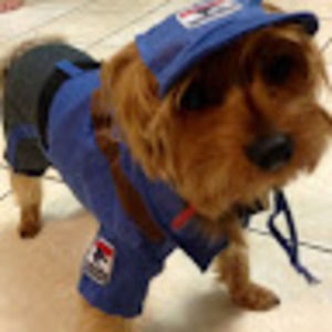 Meet your Posher, Sharon